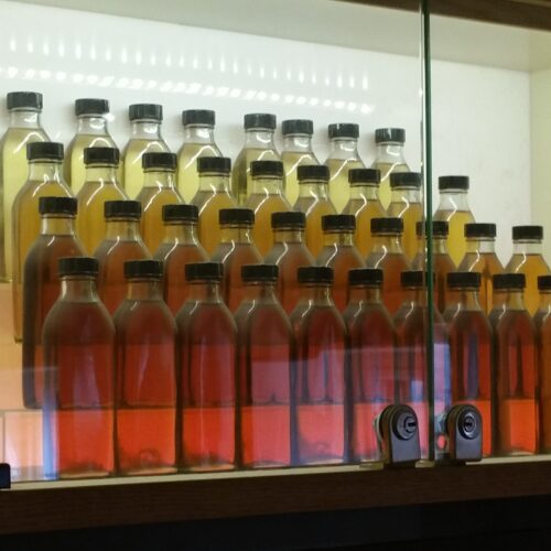 Miami Bartending School Study Abroad Program for Bartenders