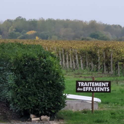Students from 786-Bartend a Bartending School in Miami that actually travels visiting a vineyard in Cognac, France, learning about cognac production amidst grapevines and distillery equipment.