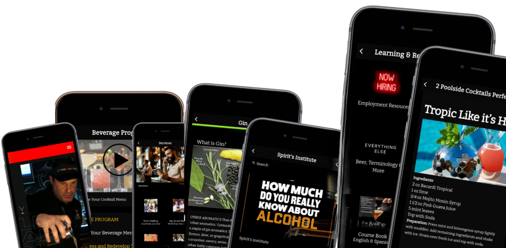 Bartending training app interface with cocktail recipes, job opportunities, and learning resources